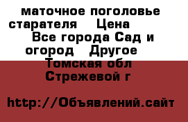 маточное поголовье старателя  › Цена ­ 3 700 - Все города Сад и огород » Другое   . Томская обл.,Стрежевой г.